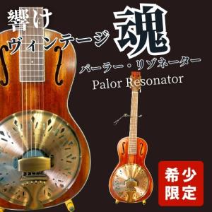 Greco（グレコ） Greco / D-80P (グレコ リゾネーターギター 国産