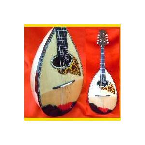 Musikalia マンドリン ”ソリスト” : 底値楽器屋 - 通販 - Yahoo