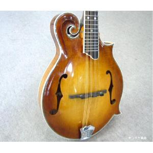 い*の様 最終値下げ‼️ 美品‼️ LOAR LH-350 新品ハードケースセッ LOAR ( ロア ) LH-350 Vintage Sunburst フルアコ 送料無料