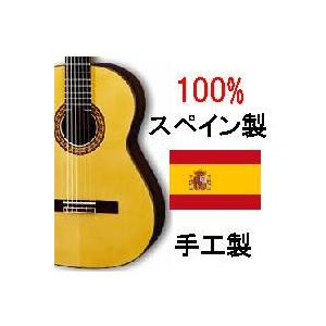 クラシックギター　Manuel Fernandez　特別製作　限定モデル　MF-55S