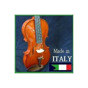 バイオリン　マイスター Luigi Aquilino作 イタリア製【製作証明書つき】