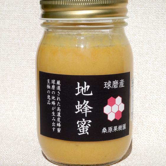 はちみつ 【熊本県産】地蜂蜜　高濃度日本みつばち蜂蜜500g 産地直送 はちみつ