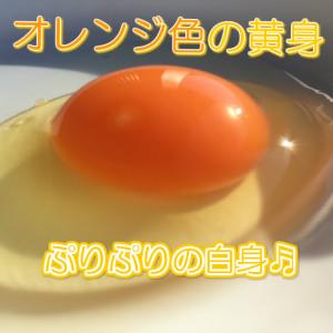 卵 鶏卵 【枯草菌育ちの赤たまご50個】 産地直送の詳細画像2