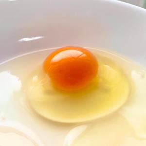 卵 鶏卵 【枯草菌育ちの赤たまご50個】 産地直送の詳細画像4