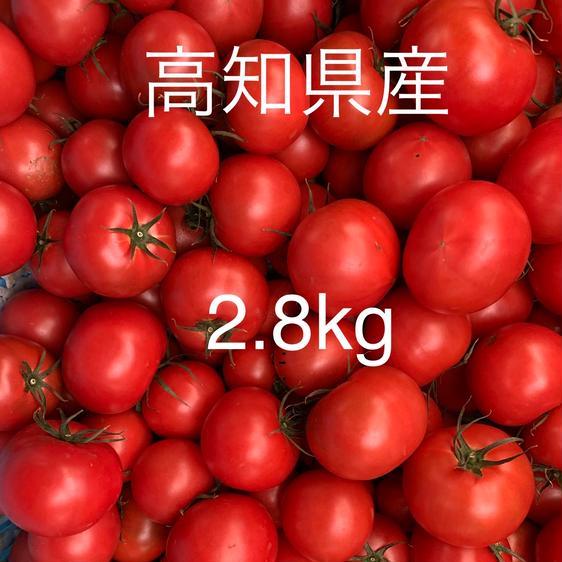＜訳あり＞ 野菜 トマト 高知県産フルーツトマト　2.8kg 産地直送