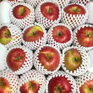 販売期間2023/11/20まで 果物 りんご 青森県産りんご 「シナノスイート」 家庭用 キズ有 約5kg 産地直送