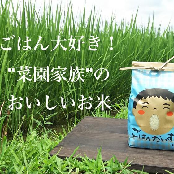 米・穀物 玄米 ごはん大好き！菜園家族の旅するお米「コシヒカリ」〈玄米〉 産地直送