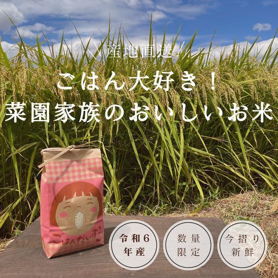 米・穀物 米/精米 ごはん大好き！菜園家族の旅するお米「コシヒカリ」〈白米〉 産地直送