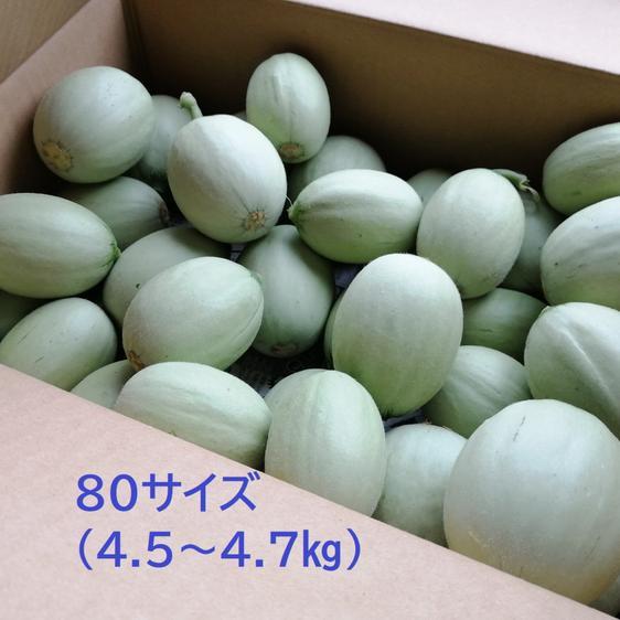 販売期間2024/06/25まで 野菜 その他野菜 約4.5ｋｇ　子メロン　摘果メロン　浅漬けや粕漬...