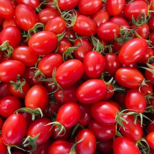 野菜 トマト サザキ農園の「アイコ」1kg 産地直送｜産直アウル Yahoo!ショッピング店