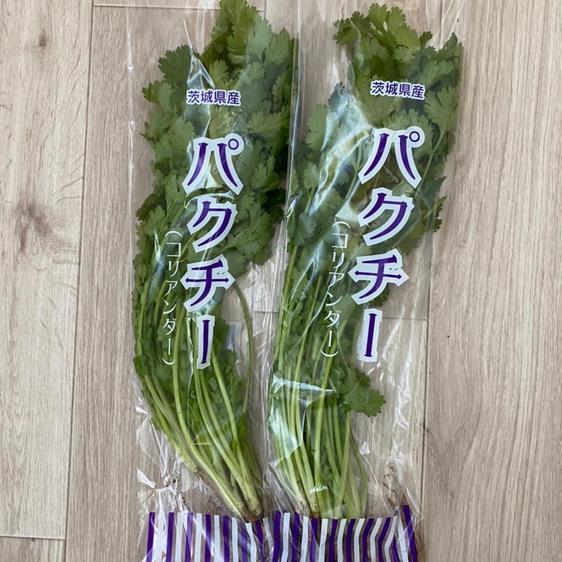 販売期間2024/08/13まで 野菜 ハーブ 病みつきパクチー500g 産地直送