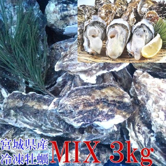 魚介類 牡蠣 牡蠣 殻付き牡蠣 殻付き 松島牡蠣屋 ＭＩＸ ３ｋｇ冷凍便 産地直送