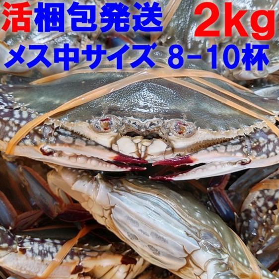 魚介類 カニ 活梱包 ワタリガニ メス中サイズ２ｋｇ8-10杯渡り蟹ガザミ 産地直送