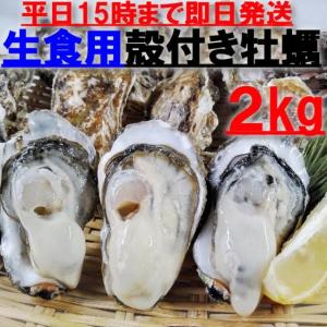 魚介類 牡蠣 生食用 牡蠣殻付き 牡蠣 ２ｋｇ（約26粒）松島牡蠣屋 牡蛎 産地直送