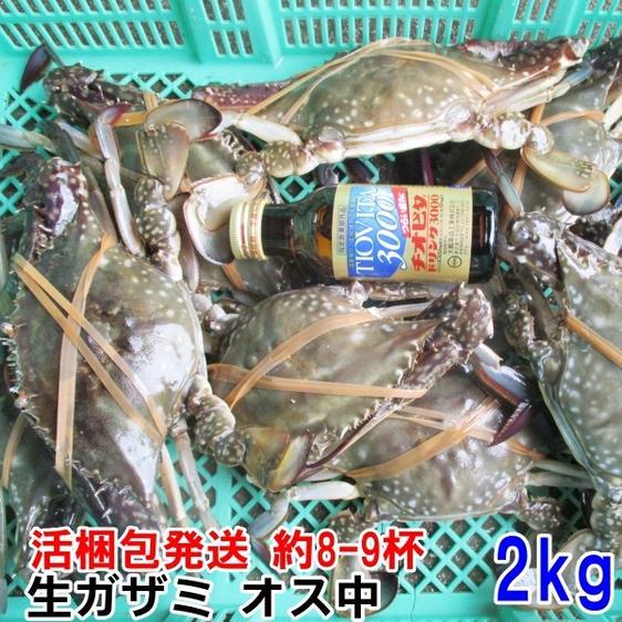 魚介類 カニ 活発送 ２ｋｇ（約８-９杯）ガザミ ワタリガニ オス中渡り蟹 産地直送