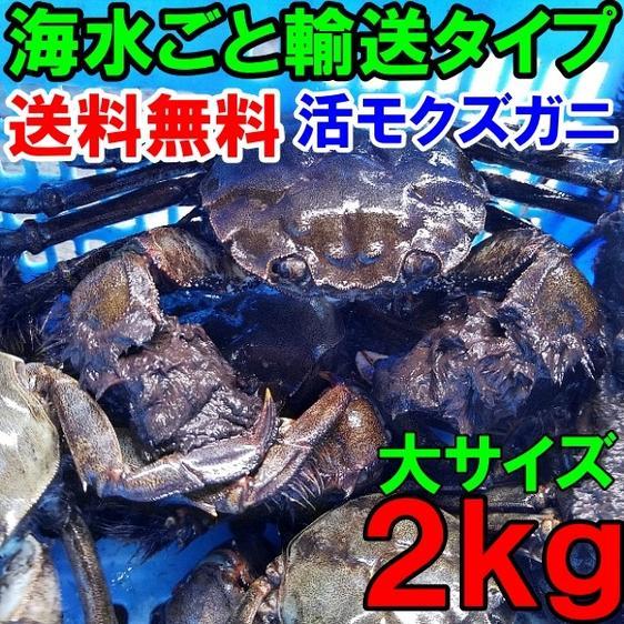 魚介類 カニ 活モクズガニ海で漁獲品 大サイズ２kg(目安9-15杯) 産地直送