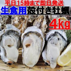 魚介類 牡蠣 生食用 牡蠣殻付き 牡蠣 ４ｋｇ（約50粒）松島牡蠣屋 牡蛎 産地直送