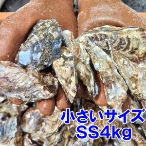 魚介類 牡蠣 殻付き 牡蠣 殻付き ＳＳサイズ４ｋｇ（約90粒）松島牡蠣屋 産地直送