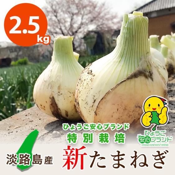 野菜 玉ねぎ 淡路島産新たまねぎ 2.5kg 特別栽培 あさひサンファーム 産地直送