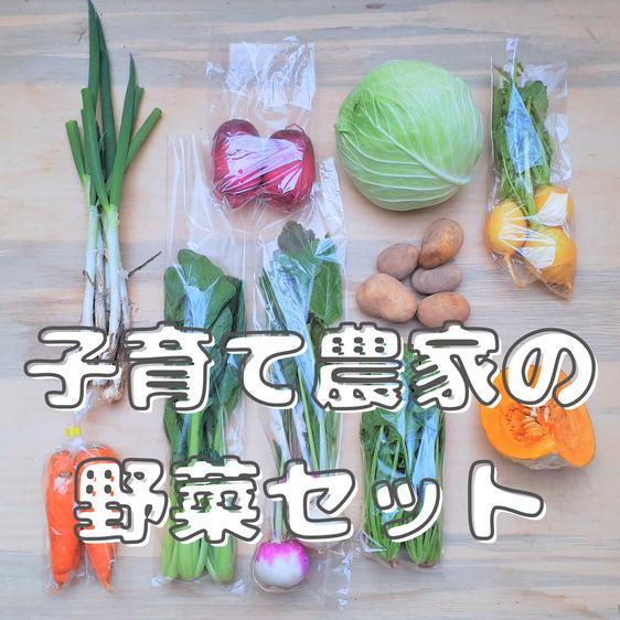 販売期間2025/01/31まで 野菜 セット・詰め合わせ 『子育て農家の野菜セット』　Mサイズ　1...