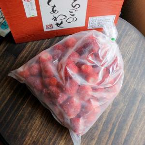 果物 いちご 【希少品種】八ヶ岳産フローズン夏いちご（1kg） 産地直送｜owl-food