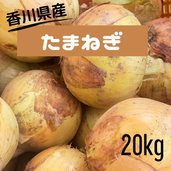 販売期間2024/07/19まで ＜訳あり＞ 野菜 玉ねぎ 訳あり玉ネギ20kg 香川県産 産地直送