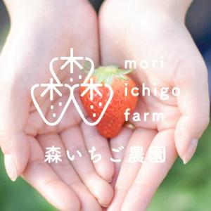 果物 いちご 森いちご農園のイチゴ 産地直送｜産直アウル Yahoo!ショッピング店