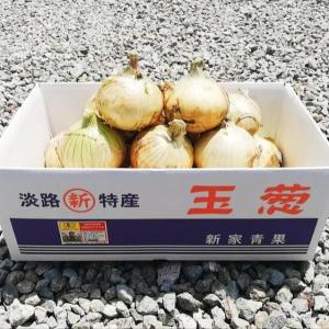 野菜 玉ねぎ 有機栽培玉葱 5kg 淡路島産J...の詳細画像2