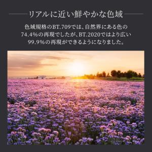 HDMIケーブル 2m 映像出力ケーブル イー...の詳細画像4