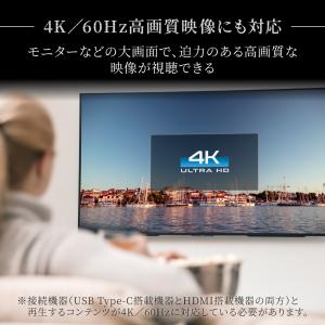 HDMI タイプc 変換 2.5m ミラーリン...の詳細画像2