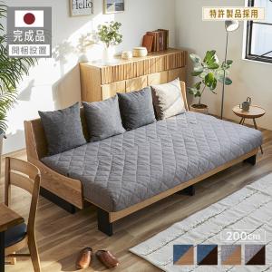 フランスベッド（FRANCEBED） ソファベッド レジーファ 3【送料開梱