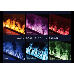 オプティミスト カセット1000P-RGB本体...の詳細画像1