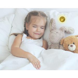 歯の妖精コイン 歯の妖精 金貨体験 子供の歯の...の詳細画像2