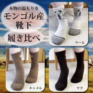 靴下 ギフト モンゴル産 ヤク キャメル 羊 3種セット 冷え知らず 吸湿 プレミアムウォームギフト 23cm-25cm/25cm-27cm/27cm-28cm 敬老の日 プレゼント