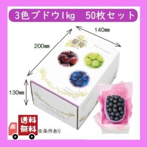 おもてなし箱 葡萄 1ケース 50枚 シャインマスカット 巨峰 等 ぶどう