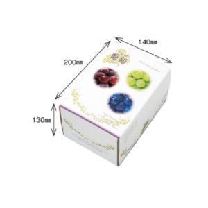 3色 ブドウ 1kg用 ギフト箱 1ケース 5...の詳細画像1