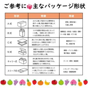 3色 ブドウ 1kg用 ギフト箱 1ケース 5...の詳細画像3
