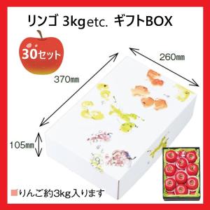 りんご 3kg用 ギフト箱 1ケース 30枚 セット りんご箱 箱のみ : お