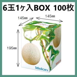 「専用」M メロン 6玉 2箱 2玉×2箱(大玉／2kg以上)富良野メロン【送料込】 | 野菜,富良野メロン
