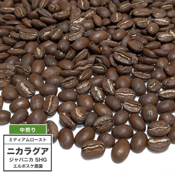 [中煎り] コーヒー豆 ニカラグア ジャバニカ エルボスケ農園 SHG 100g（3°／ミディアムロ...