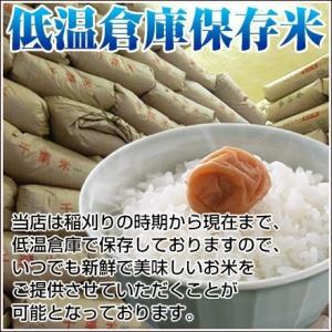 米 白米 10kg 令和7年 千葉県産 ふさこ...の詳細画像3