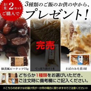 米 白米 10kg 令和7年 千葉県産 ふさこ...の詳細画像5