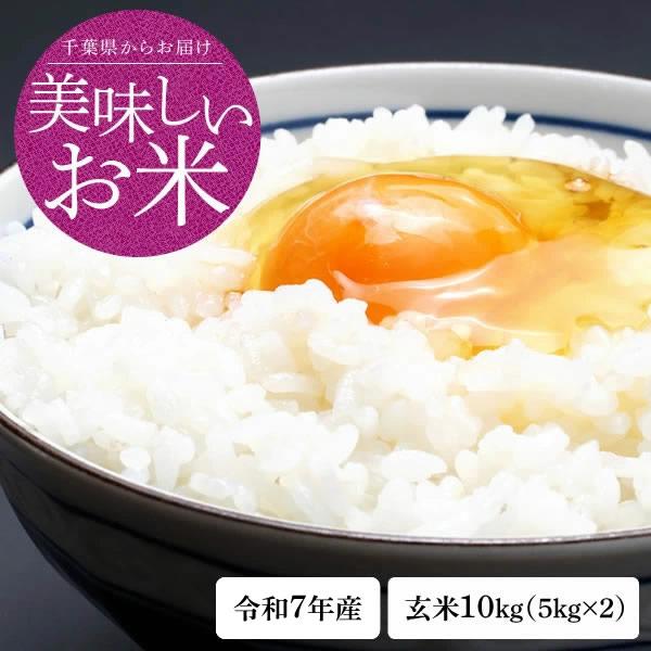 米 玄米 10kg（5kg×2） 令和7年 新米 千葉県産 ふさこがね お米 こめ 千葉産 送料無料...