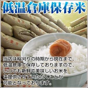 米 玄米 10kg(5kg×2) 令和7年 千...の詳細画像3