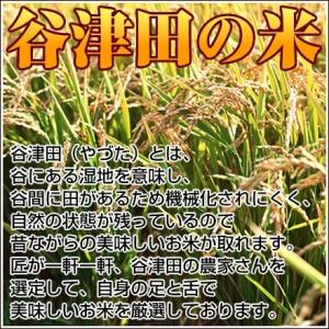 米 玄米 10kg(5kg×2) 令和7年 千...の詳細画像4