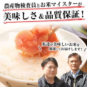 新米 米 5kg 白米 お試し 令和7年 千葉...の詳細画像2
