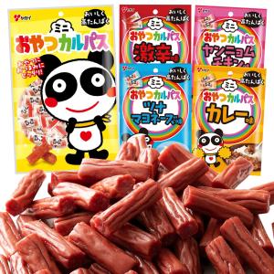 おやつカルパス★パルストレーナー おやつカルパス様専用☆パルストレーナー