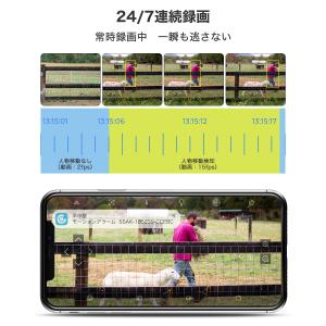防犯カメラ 屋外 ソーラー 双目 工事不要 W...の詳細画像2