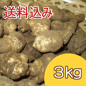 【送料込】菊芋の生芋 3kg ★ 12月25日（金）出荷分｜oyonesan