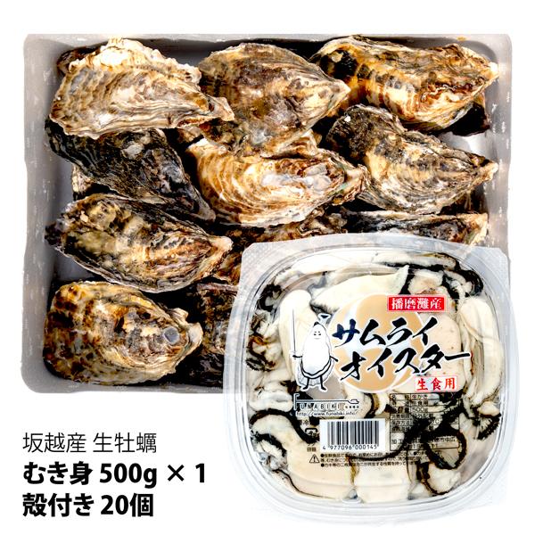 坂越牡蠣むき身500g×1 + 殻付20個セット★サムライオイスター★ 生食OK!臭みがなく食べやす...